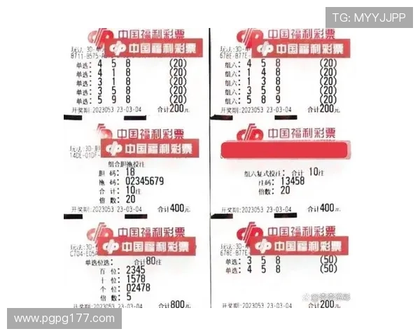 第53期开奖结果揭晓，幸运号码震撼公布